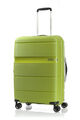 LINEX SPINNER 66/24 TSA  hi-res | American Tourister