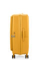 Koper Curio Cabin + Large Golden Yellow