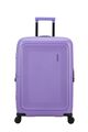 Bundle Koper Dashpop Cabin Pink + Medium Purple