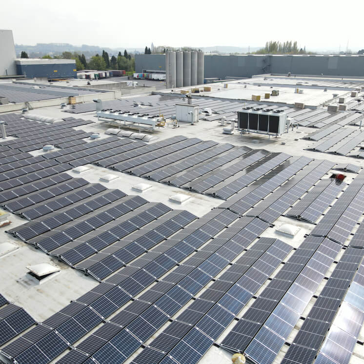 100% Renewable Electricity